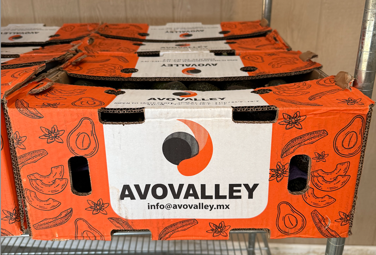 Large Hass Avocados - 25 lb box