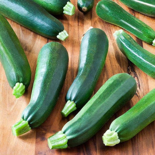 ZUCCHINI