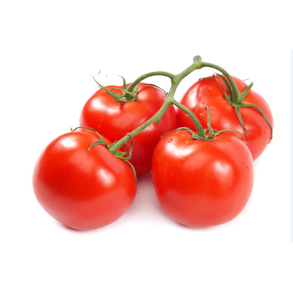 Tomatoes Bola (Extra Large) - 25 lbs