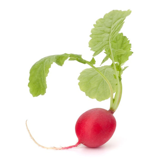 RADISHES