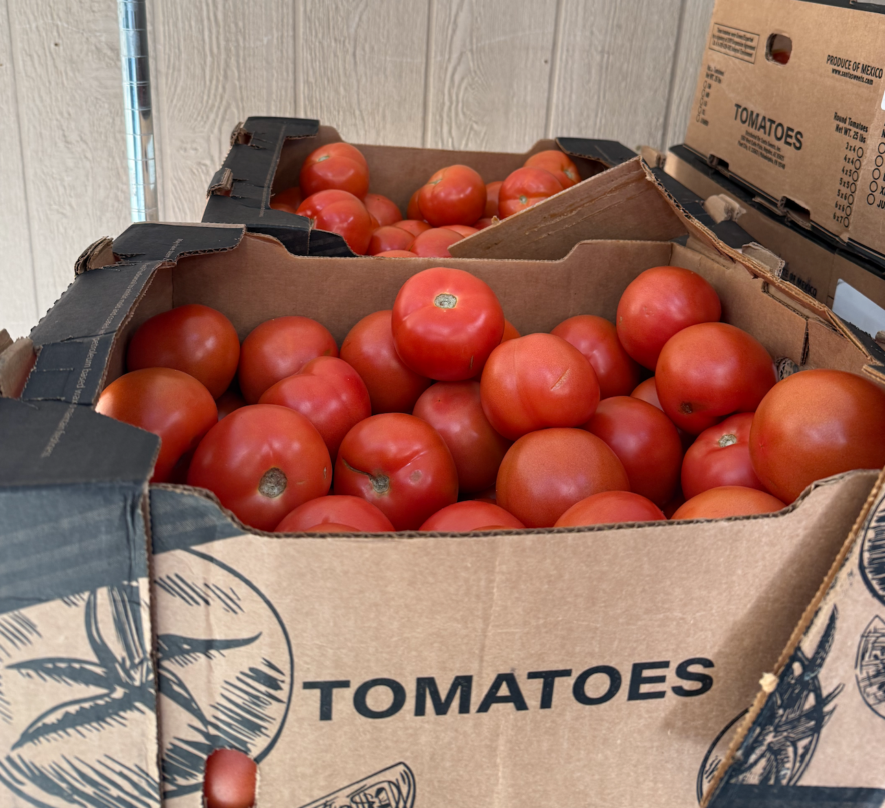 Tomatoes Bola (Extra Large) - 25 lbs