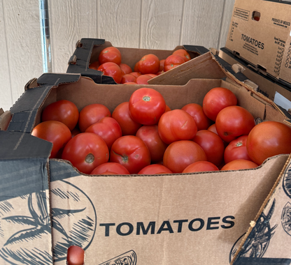 Tomatoes Bola (Extra Large) - 25 lbs