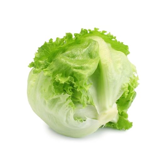 BALL LETTUCE