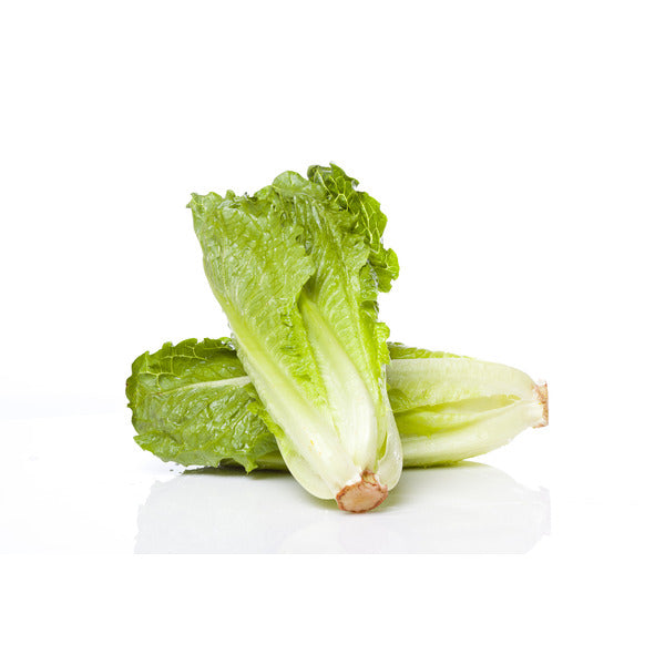 ROMAINE LETTUCE