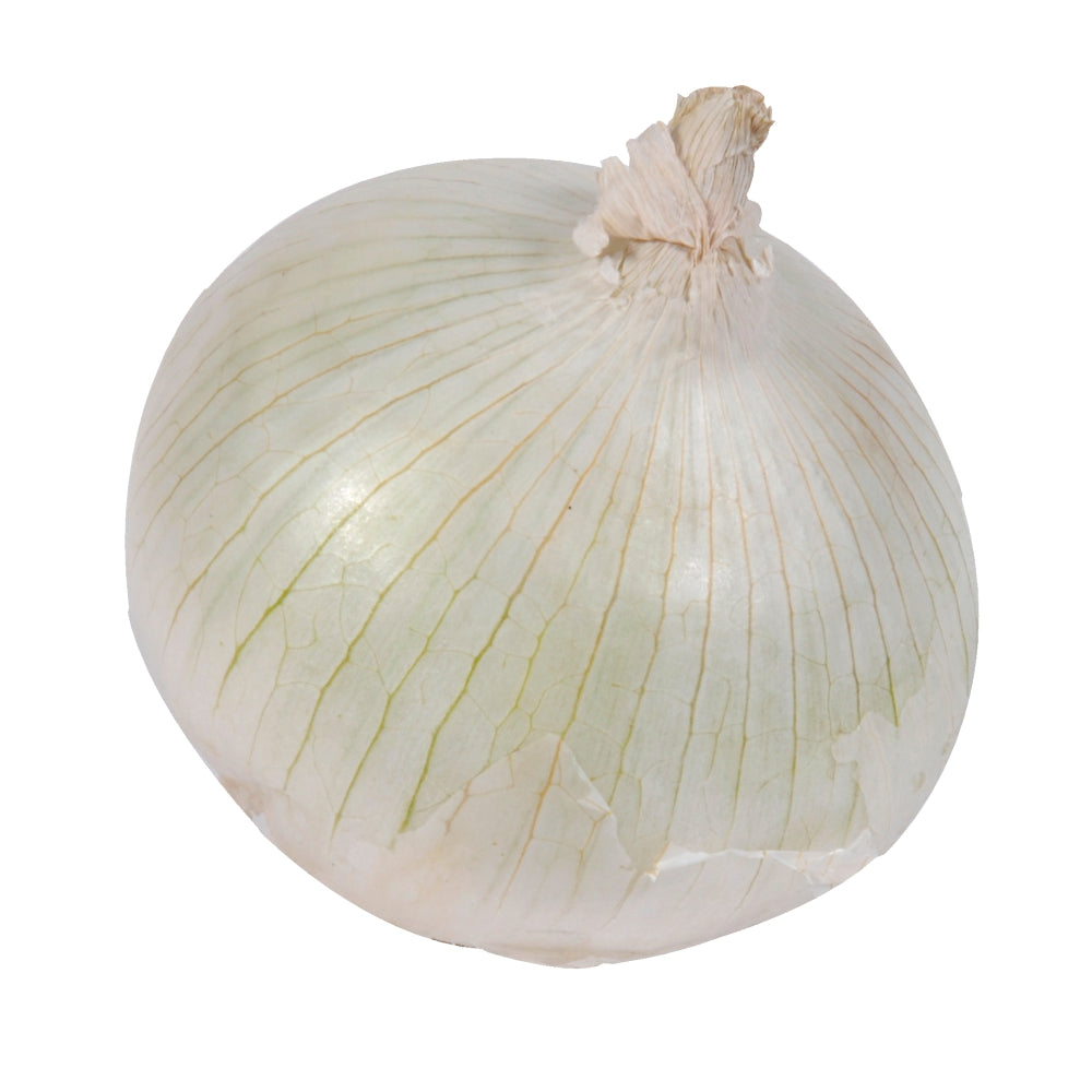 WHITE ONION